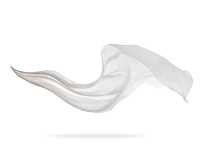 HYDROLYZED SILK PROTEIN