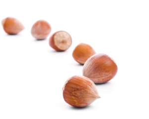 Hazelnut oil - coldpressed, organic