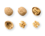 Walnut Seed Oil