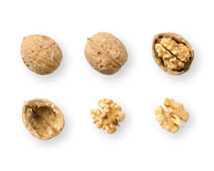 Walnut Seed Oil