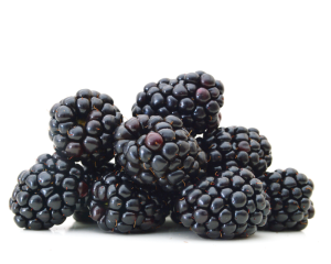Blackberry seed oil unrefined