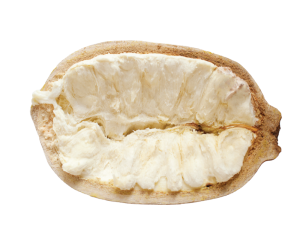 Amazonian Cupuaçu butter - refined