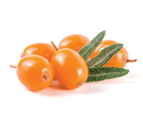 Olej z rokitnika nierafinowany, organic