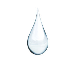 Shea Light - emolient