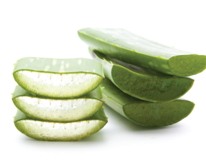 Aloe Extract Organic 