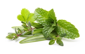7 herbs – kompleks 7 ziół (brzoza, krwawnik, skrzyp polny, rozmaryn, szałwia, lipa)