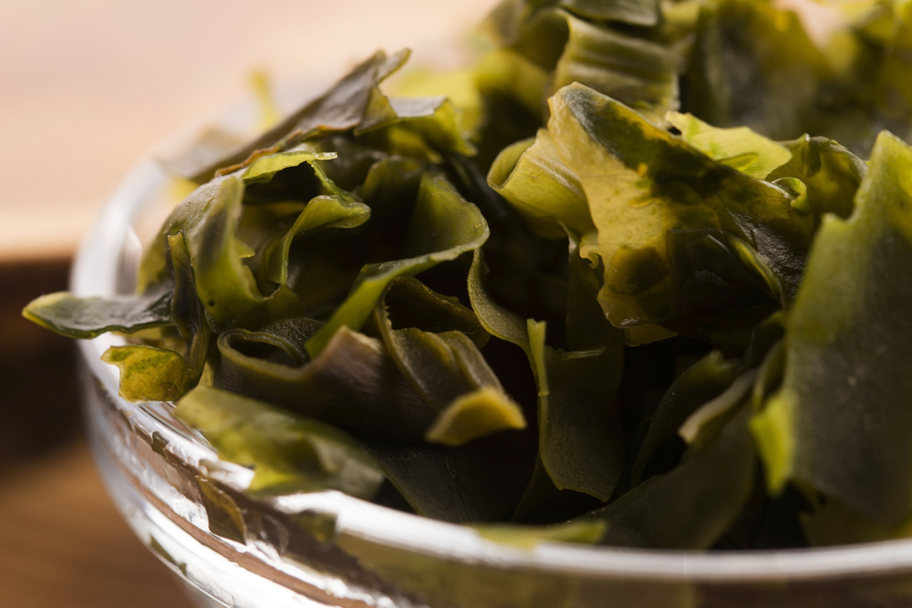Alga Wakame – azjatycki sekret młodej, odżywionej skóry