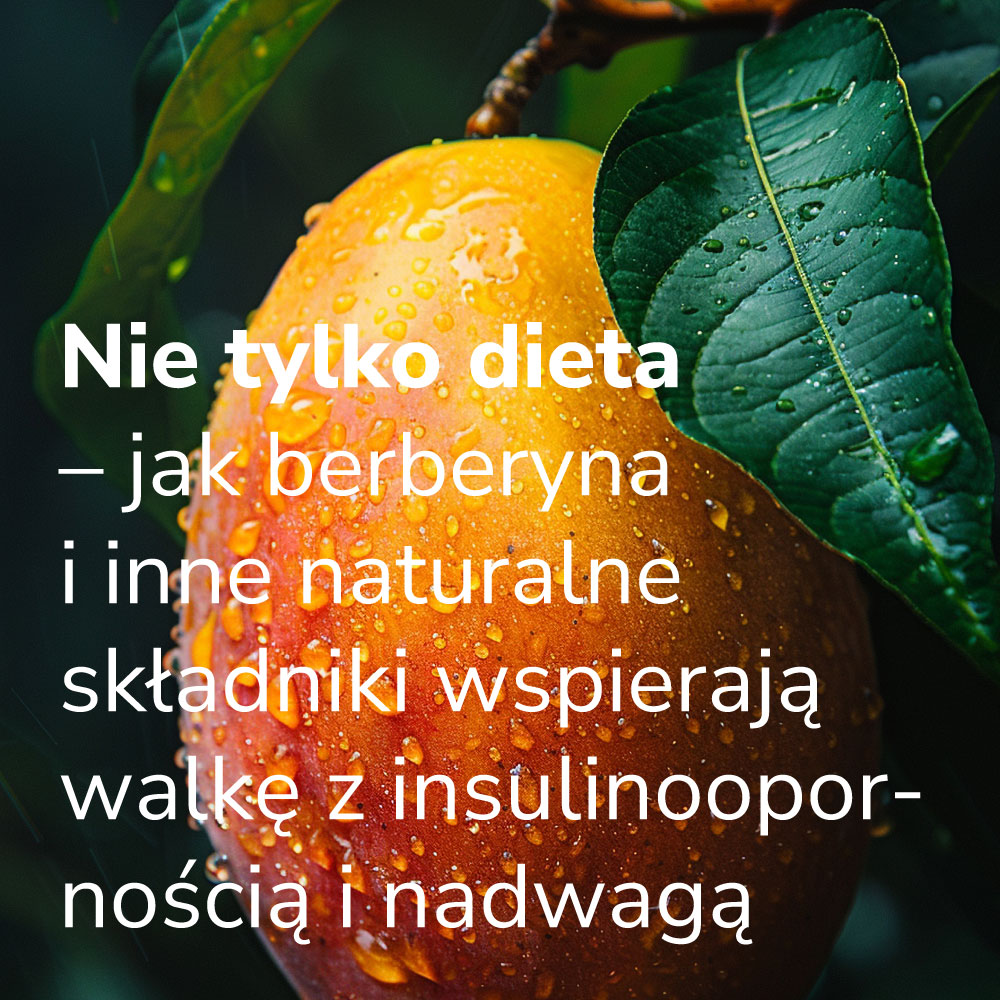 Nie tylko dieta – jak berberyna i naturalne składniki wspierają walkę z insulinoopornością i nadwagą